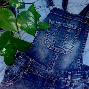 Wallflower Blue Denim Overalls